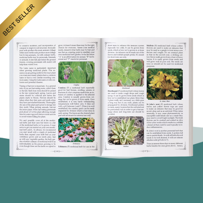 The Self-Sufficient Backyard: Off-Grid Living & DIY Projects for the Independent Homesteader