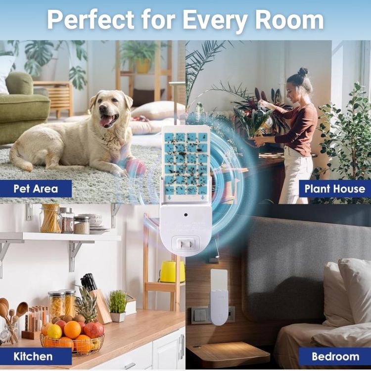 PureLight Trap™ - Safe & Silent UV Fly Trap